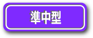 ボタン_juntyu